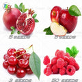 Cuatro Semillas Mixtas de Frutas Rojas Frescas
