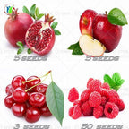Cuatro Semillas Mixtas de Frutas Rojas Frescas