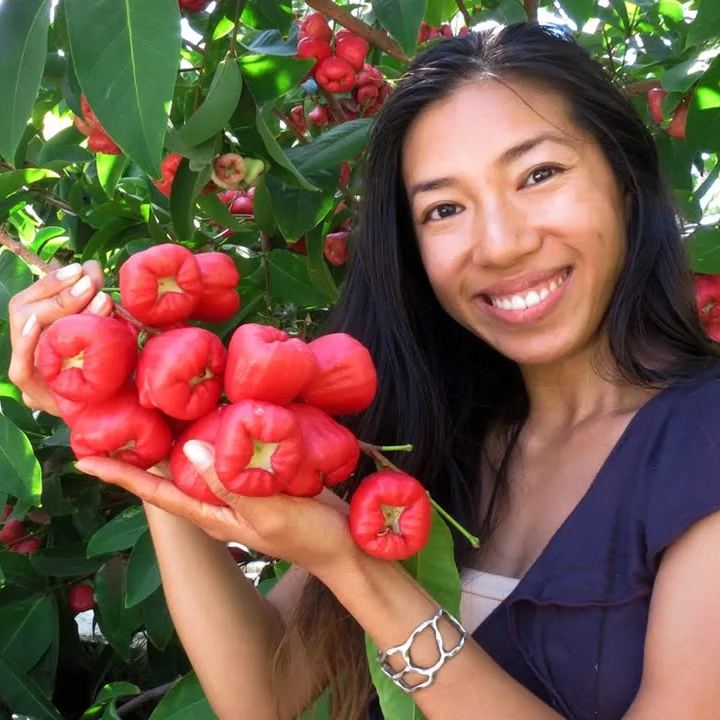 Semillas de fruta de manzana de cera🍹