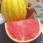 Semillas de Sandía Roja Dorada