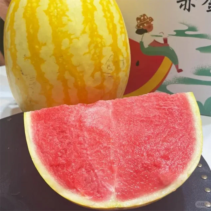 Semillas de Sandía Roja Dorada