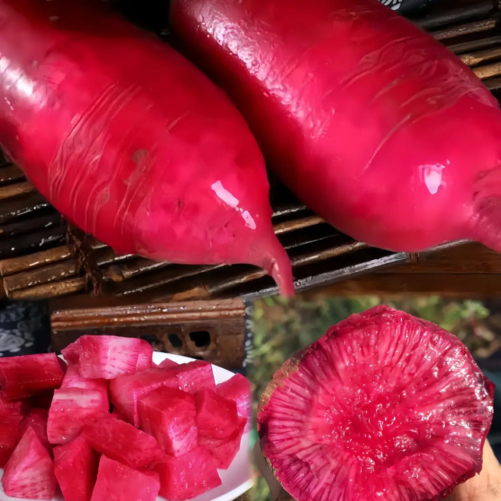 Semillas de rábano de piña🥕