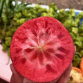 Semillas de manzana de pulpa roja