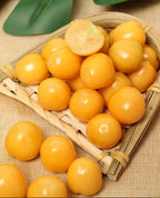 Semillas de Tomatillo Super Verde