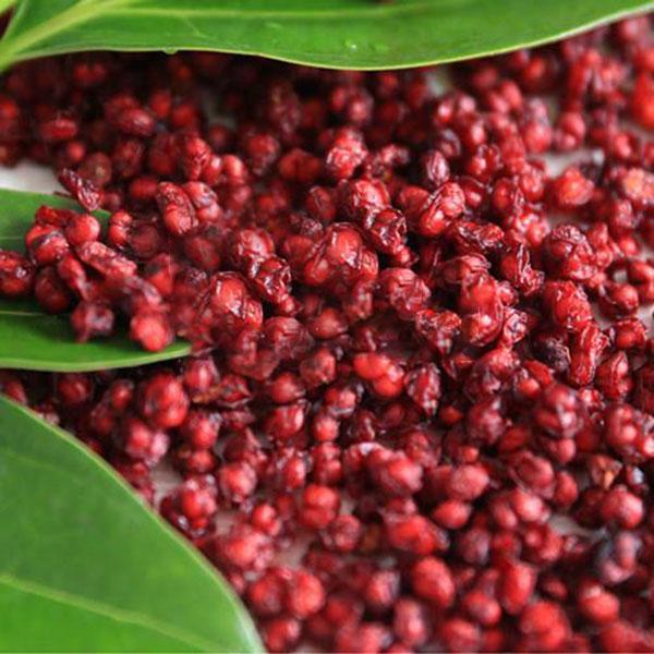 Egrow 50 unidades (100 unidades)/paquete de semillas de Schisandra, parra china de magnolia, semilla de árbol frutal comestible de jardín, plantas para hacer uno mismo