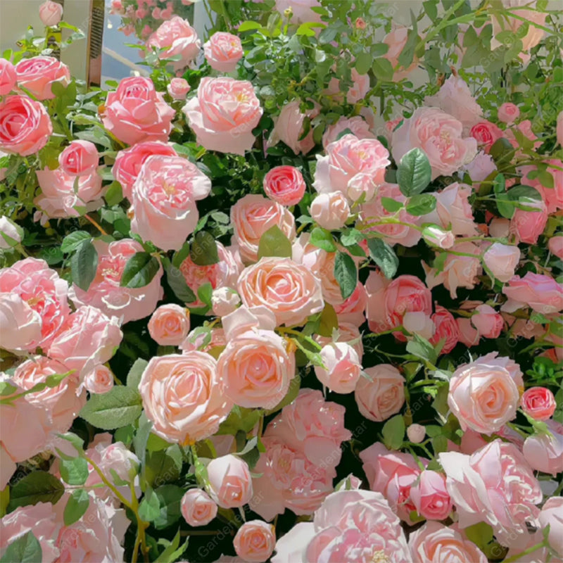 Semillas de Flores Mixtas para Trepar - Más de 30 variedades mezcladas