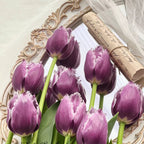 Semillas de tulipán de color raro para bonsái