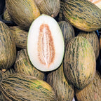 Melón Piel de Sapo