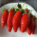 Semillas de fruta de fresa con chile raras