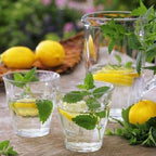 Lemon Balm Seeds