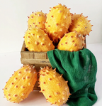 Semillas de Fruto de Ginseng de Fuego