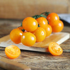 Semillas de tomate cherry amarillo Patio Choice