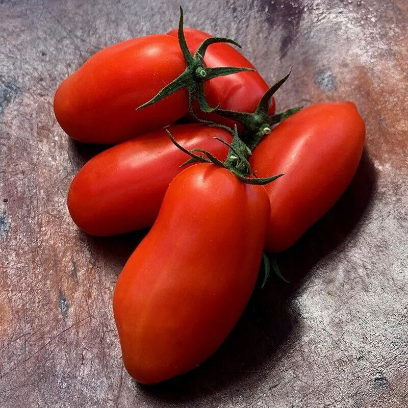 Semillas de tomate plátano rojo no transgénico