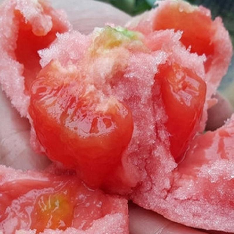 Racimos de plátanos Semillas de tomate Semillas orgánicas de vegetales Bonsái