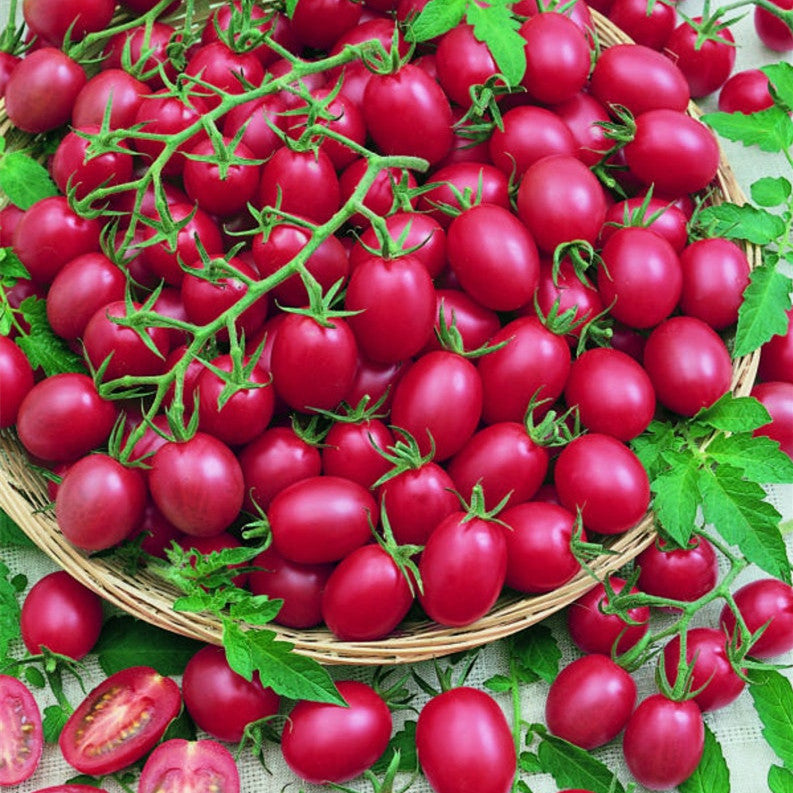 Tomate Cherry Rosa Uva