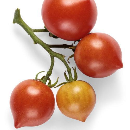 Tentadores tomates - De buen corazón