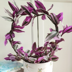 💐Pintura al óleo Orquídea de boda - El judío errante