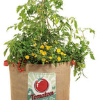 Tomates Tesoro del Jardín