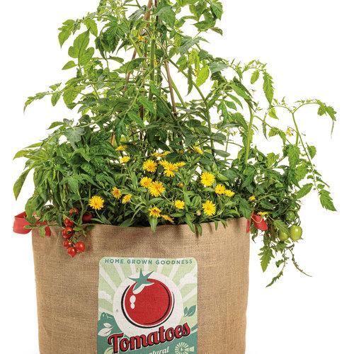 Tomates Tesoro del Jardín