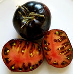 Tomate Giant Black Beauty