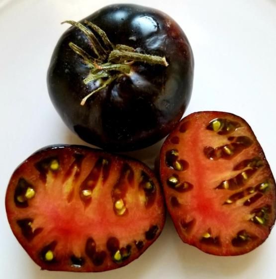 Tomate Giant Black Beauty