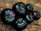 Tomate Giant Black Beauty