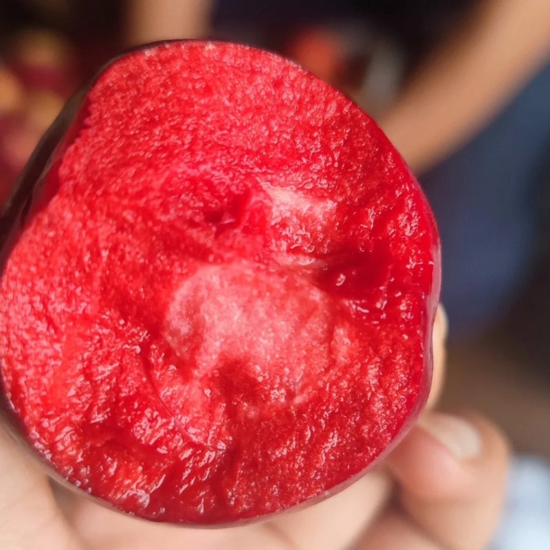 Semillas de manzana de pulpa roja
