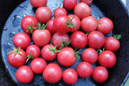 Tomate Cherry Rosa Uva