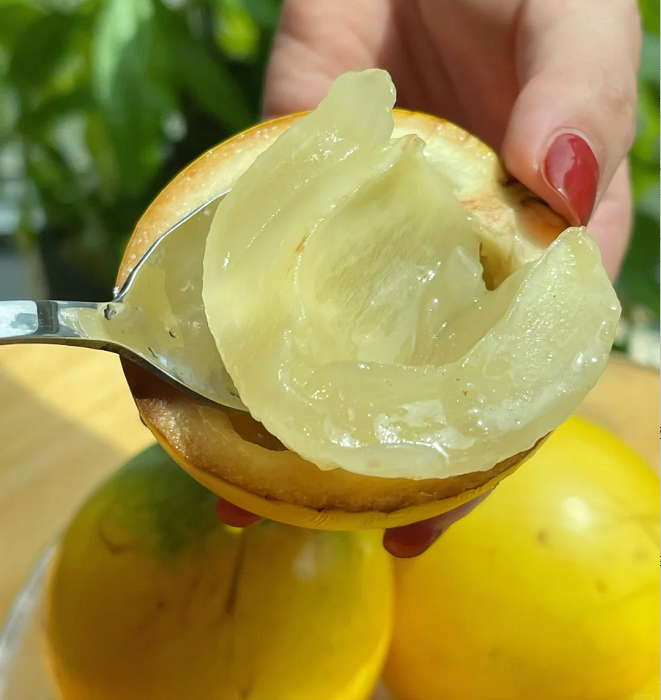 Semillas de Fruta Dorada