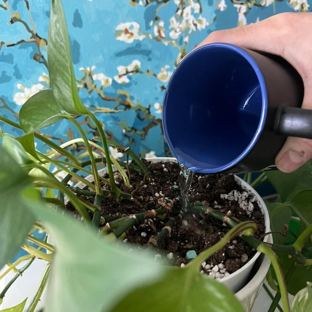 💚Barras de nutrientes - El secreto para plantas hermosas y exuberantes🌸