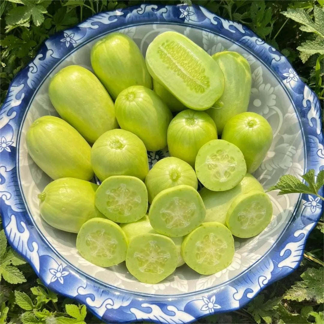 🥒 Pepino Jade Maiden - Dulce, Crujiente y Refrescante
