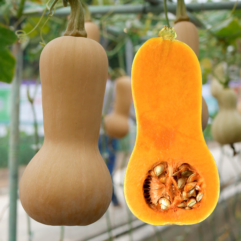 Semillas de calabaza cremosas