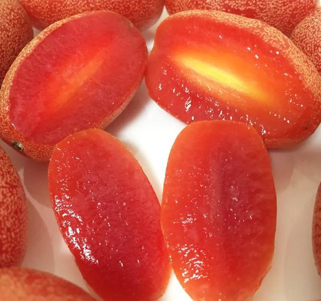 Semillas de Elaeagnus Conferta
