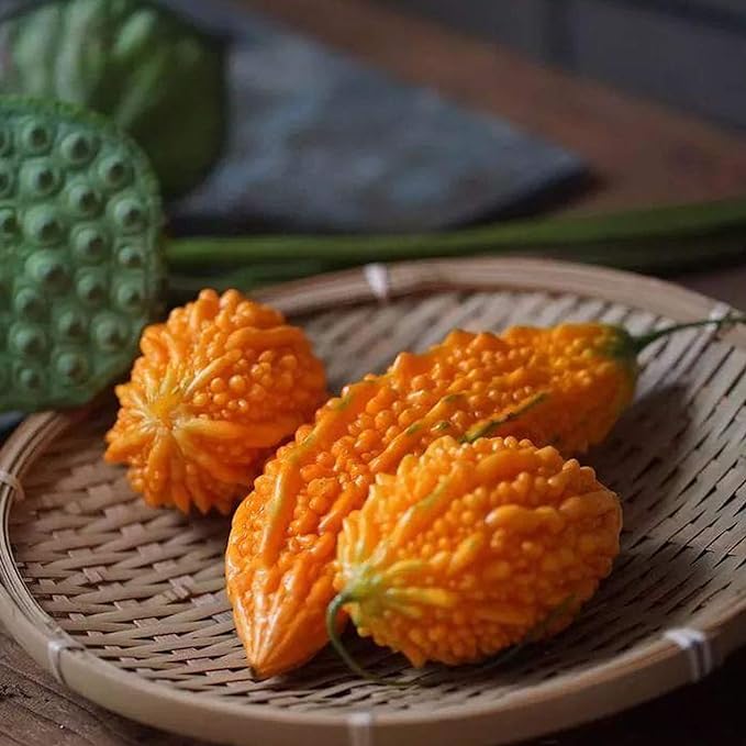 Semillas de uva Lai para jardín Semillas de calabaza amarga