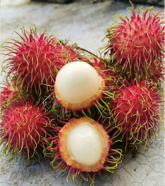 Semillas de fruta de rambután rojo de jardín