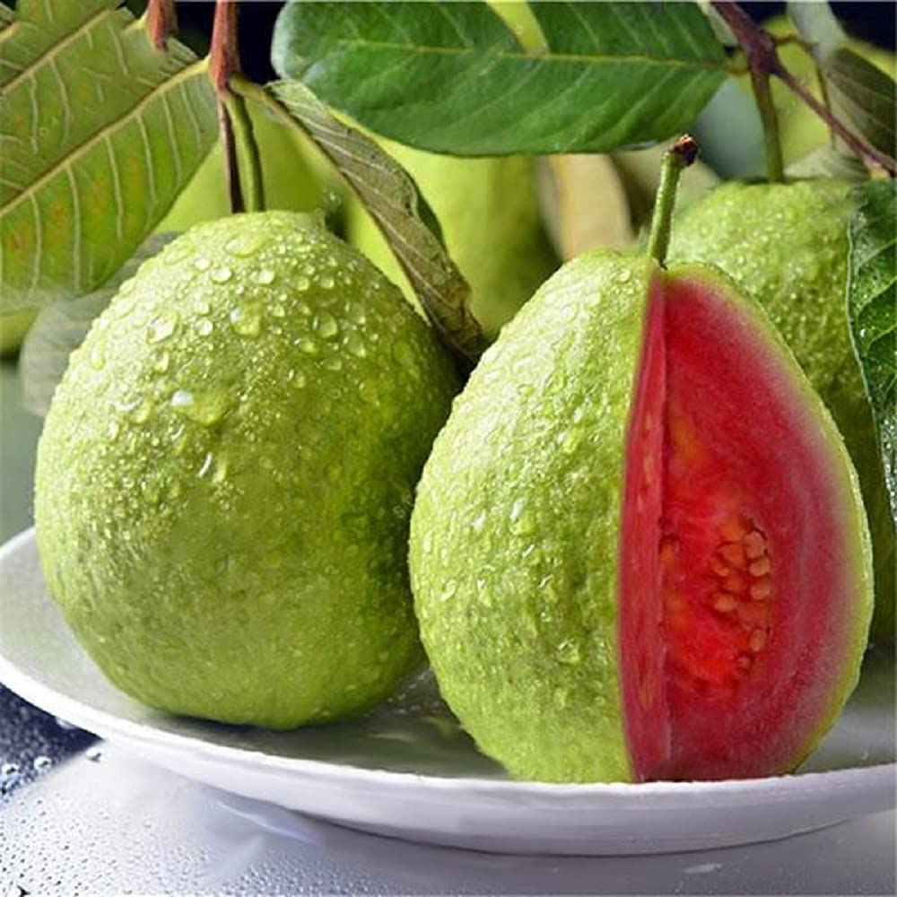 Semillas de guayaba rosada orgánica tropical de fresa y guayaba