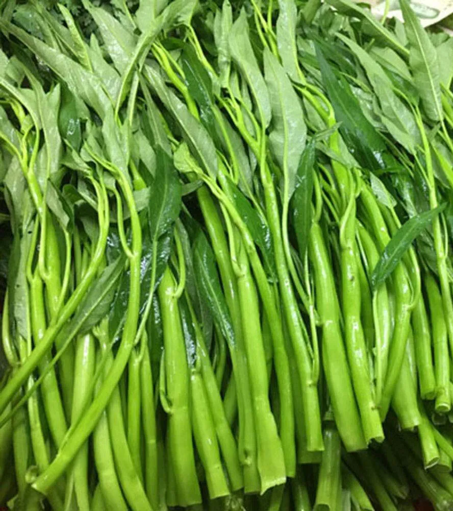 Three-Pronged Water Spinach Seeds