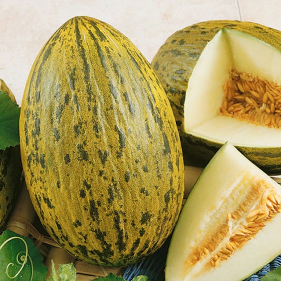 Melón Piel de Sapo