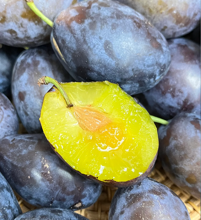 Blue Honey Prune Seeds