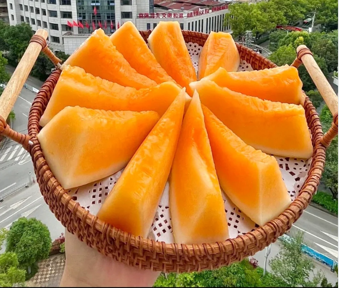 Semillas de melón cantalupo reticulado