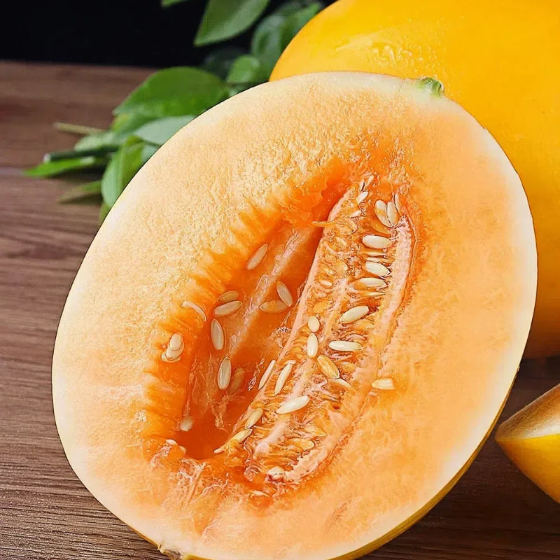 🍈Melón de miel del Río Amarillo