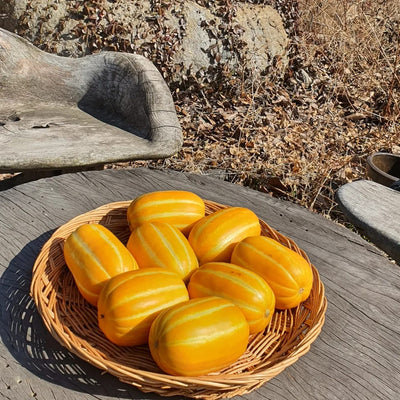 Semillas de melón dorado