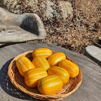 Semillas de melón dorado