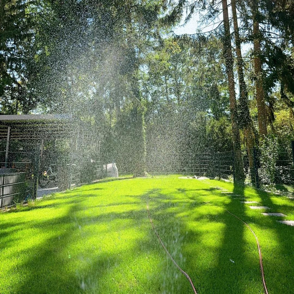 🌱Semillas de césped perenne de alta calidad
