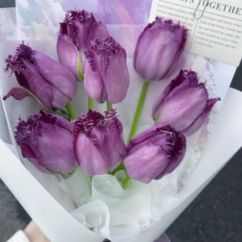 Semillas de tulipán de color raro para bonsái