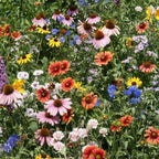Mezcla de flores silvestres del noreste