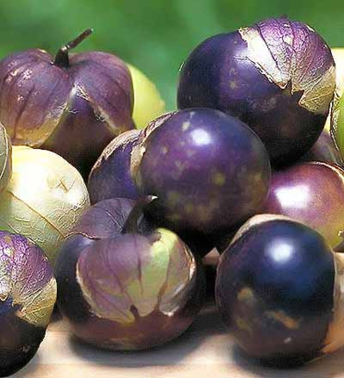 Semillas de tomatillo morado - No transgénicas