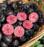 Semillas de ginseng de frutas rojas-Fruta araña