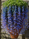 🌸 Hanging Lobelia
