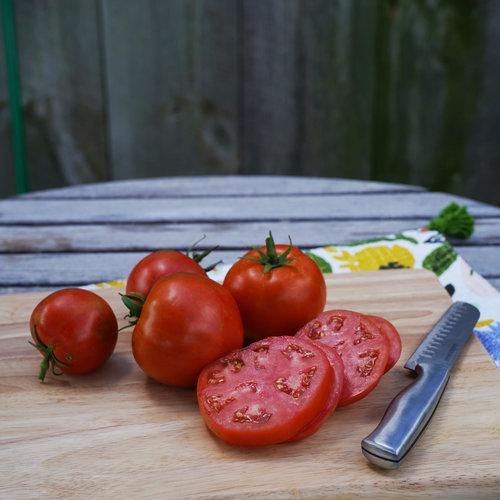 Tomates Tesoro del Jardín
